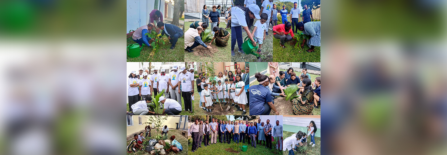  Tree Plantation Drive in Ghana as part of the ##&#2319;&#2325;_&#2346;&#2375;&#2337;&#2364;_&#2350;&#2366;&#2305;_&#2325;&#2375;_&#2344;&#2366;&#2350; (#Plant4Mother) campaign
launched by Hon. PM Shri Narendra Modi.